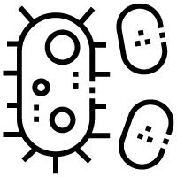 KKK