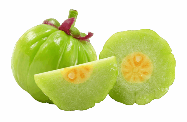 Garcinia Cambogia ekstrakt