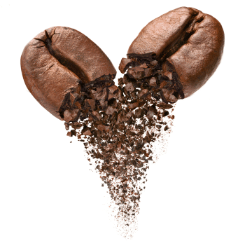 Arabica kohvioad