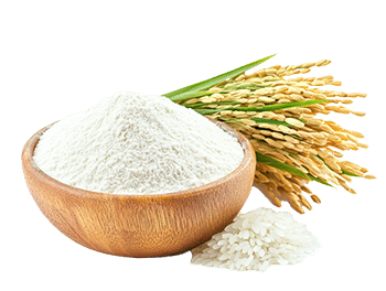 Riisijahu (Oryza sativa)